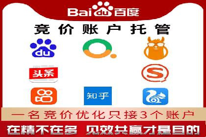 成功案例解读：SEM推广代运营策略